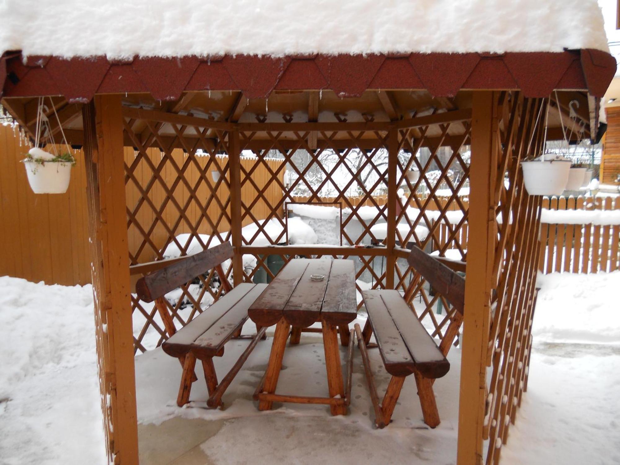 Hotel FLORA ALPINA Azuga Buitenkant foto